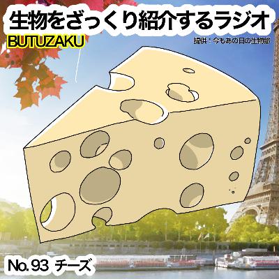 第93話：📮「チーズ」をざっくり紹介