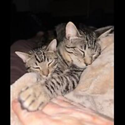 Episode 3032 CWSA 11/30/25 Episode 3032 CWSA 11/30/25