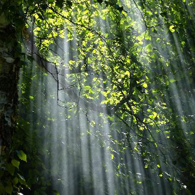 Opening to Awe Opening to Awe