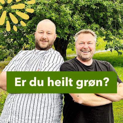Grøn valgomat – del 1