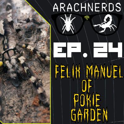 Felix Manuel of Pokie Garden | ArachNerds Ep. 24