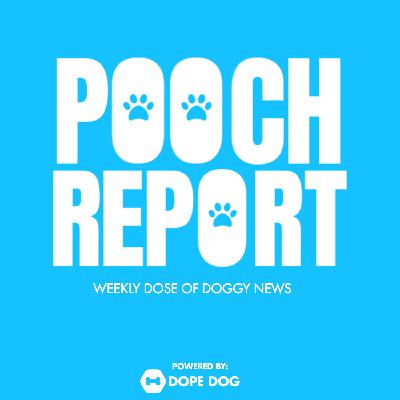 Living with Dogs 🐶 Makes you healthier? Living with Dogs 🐶 Makes you healthier?
