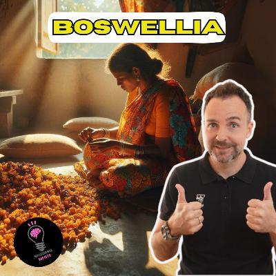 1x34 BOSWELLIA, ¿El mejor antiinflamatorio NATURAL?