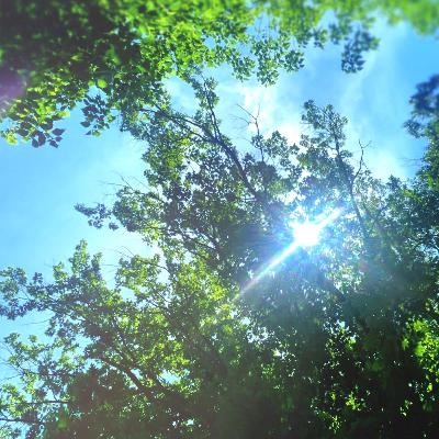 453:  radio jawn | future soul dispatch center | from philly to the world