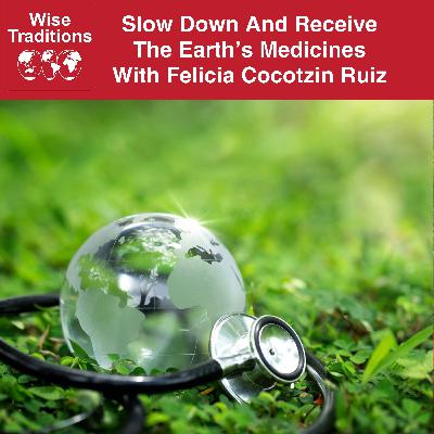 553: Slow Down And Receive The Earth's Medicines With Felicia Cocotzin Ruiz