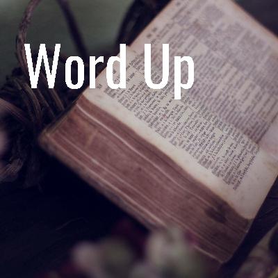 Episode 20 - Seek First The Kingdom - Part 2 - How Do I Seek the Kingdom?