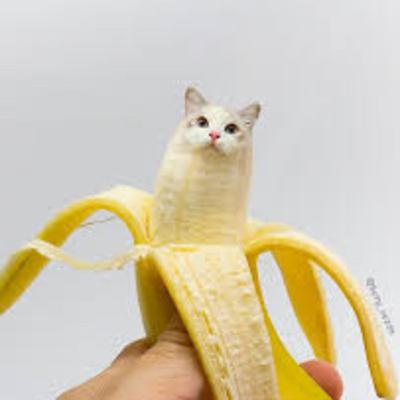 The dog story 🐶 The dog story 🐶