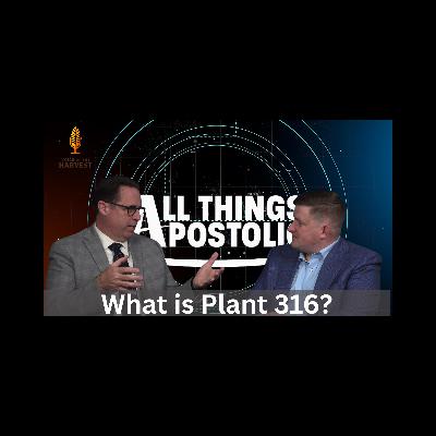 What is Plant 316
