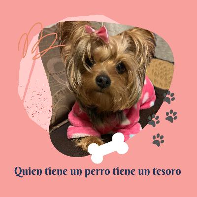 Quien tiene un perro tiene un tesoro! Quien tiene un perro tiene un tesoro!