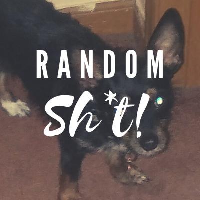 Welcome To The Random Sh*t Podcast!