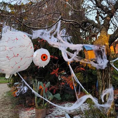 Halloween e tradizione, a Thiene l’orto stregato inaugura il weekend di Ognissanti Halloween e tradizione, a Thiene l’orto stregato inaugura il weekend di Ognissanti