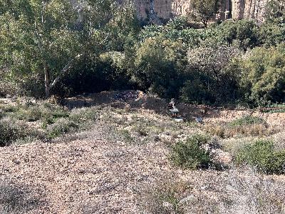 La Acequia Mayor del Pantano de Elche podrá recibir agua de la depuradora de Algorós antes de finales de año