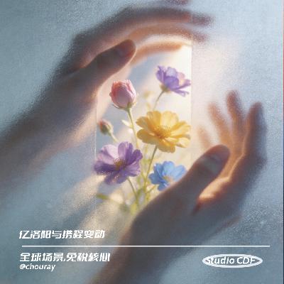 vol65-百亿洛阳与携程变动 vol65-百亿洛阳与携程变动