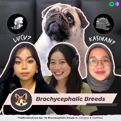 TheMoreYouKnow Eps. 04 Brachycephalic Breeds, Lucu atau Kasihan?