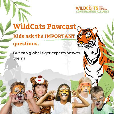 Kids ask some of the most difficult questions, but can tiger experts answer them?