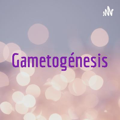 Gametogénesis y fecundación