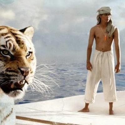 Life of Pie lit report