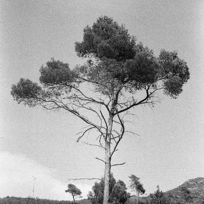 Практика ЗАЗЕМЛЕНИЕ