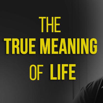 The True Meaning Of Life - David Tian's Personal Journey (So Far)