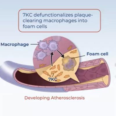 99. Cyclarity Therapeutics: Revolutionizing Age-Related Disease Treatment through Unique Drug Design