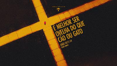 É melhor ser ovelha do que cão ou gato