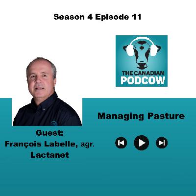 Managing Pasture