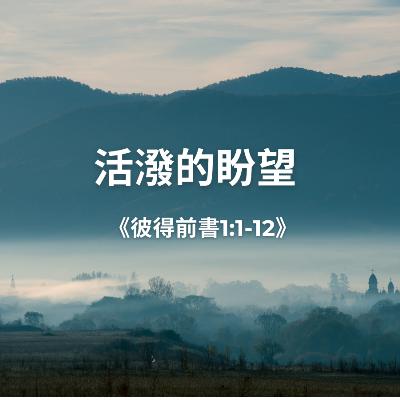 活潑的盼望《彼得前書1章1-12節》