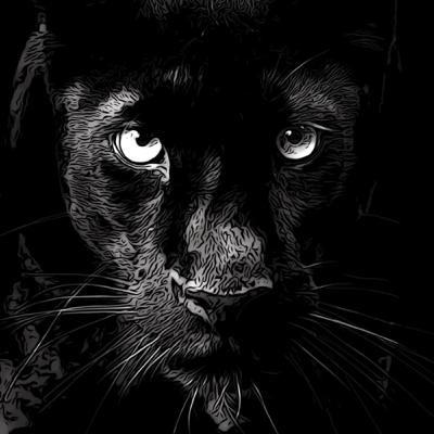 Pantera Nera ๐ฎ๐น Pantera Nera ๐ฎ๐น