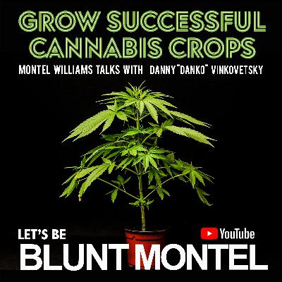Danny Danko: A Cannabis Legend’s Journey Danny Danko: A Cannabis Legend’s Journey