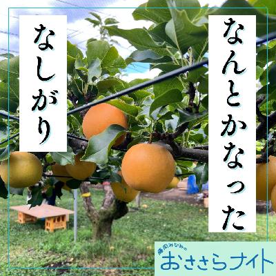 Podcast版　2025/9/27 第172回