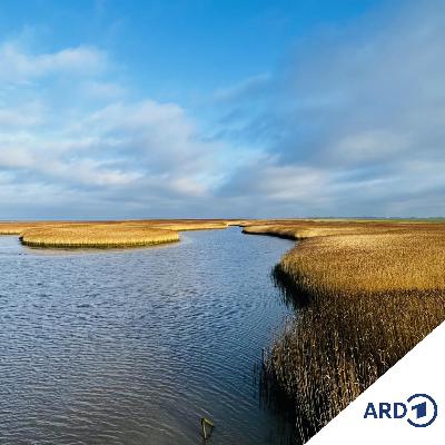 Oostfreesland un Namen
