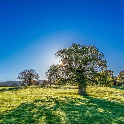 Permanecemos na boa terra - Provérbios 2:20-22