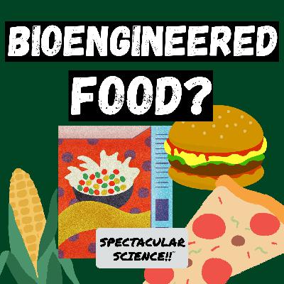 What Are Bioengineered Food Ingredients? Revealed What Are Bioengineered Food Ingredients? Revealed
