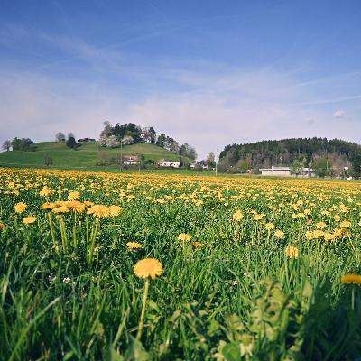 #59 海外農業研修の運営にインタビュー! #59 海外農業研修の運営にインタビュー!