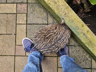 Eldritch Extras 21 Eldritch Extras 21