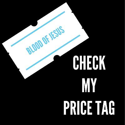 Check My Price Tag - Lizette Viljoen