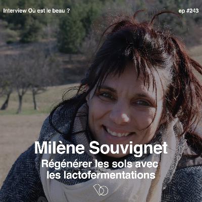 #243-  Régénérer les sols avec les lactofermentations avec Milène Souvignet, ingénieure agronome et chercheuse e en agro-écologie