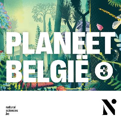 Planeet België – België als tropisch moerasbos (afl. 3/5)