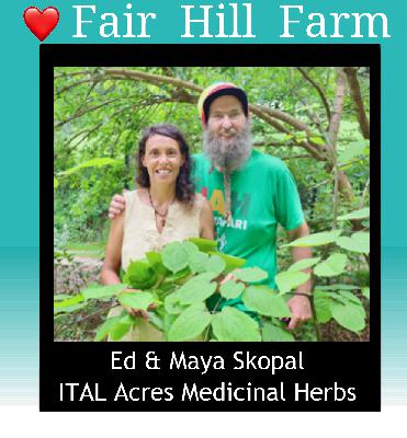 #63: The Plants Told Us: Ed & Maya Skopal of ITAL Acres on Growing Your Own Medicine #63: The Plants Told Us: Ed & Maya Skopal of ITAL Acres on Growing Your Own Medicine