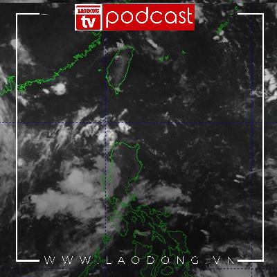 Thế giới 24h: Dự báo áp thấp gần Biển Đông liên tục mạnh lên