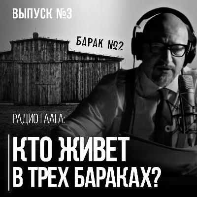 Радио Гаага #3 Ебатьки, хатаскрайники и свободные граждане : Прокопьев про три барака в Беларуси