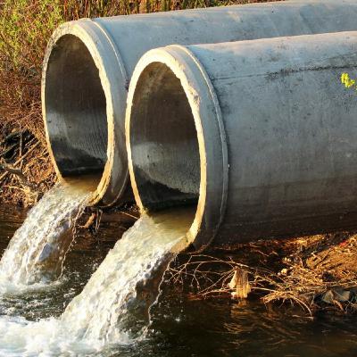 Episode 74: Green Shoots 2 - The Fight for Clean Water