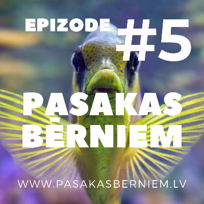 Pasaka par ķīsi un salaku