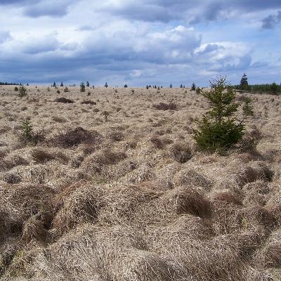 Eupen vaut vraiment le Détour (1) :  Langue officielle, pionnières belges et signal de Botrange