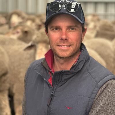 Ep 67: Matt Martin Ep 67: Matt Martin