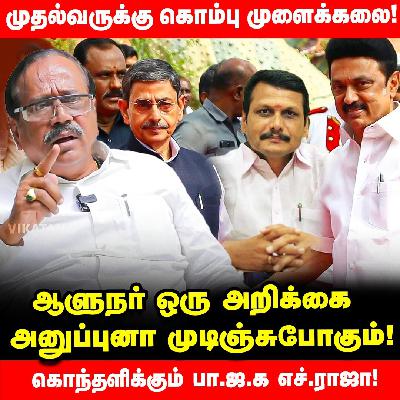 17 DMK அமைச்சர்கள் மீது பல்லாயிரக்கணக்கான கோடி ஊழல் குற்றச்சாட்டு -BJP H.Raja Interview | MK Stalin