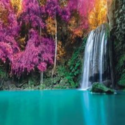 Encantos da natureza com Professor Luiz Roza Camargo