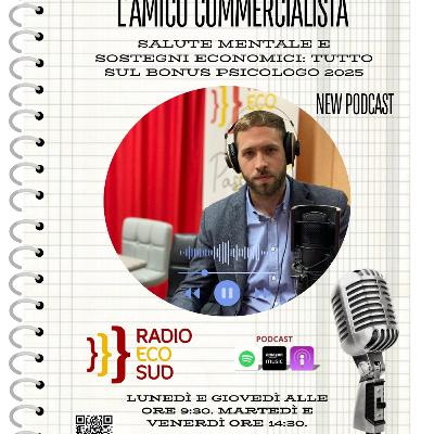 L'amico commercialista 20 puntata