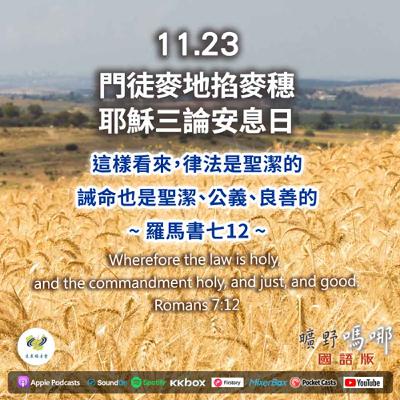 曠野嗎哪-門徒麥地掐麥穗，耶穌三論安息日