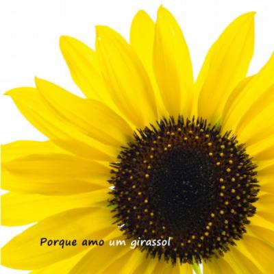 17. Além do que se ver... 17. Além do que se ver...